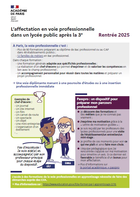 Infographie relative à la voie professionnelle 