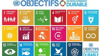Les 17 objectifs de développement durable adoptés par l'O.N.U.