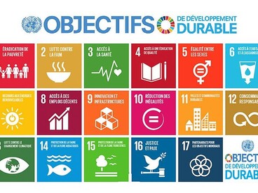 Les 17 objectifs de développement durable adoptés par l'O.N.U.